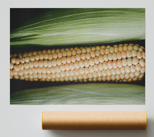 Golden Corn Husk