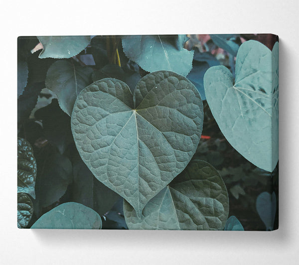 Emerald Heart Leaf