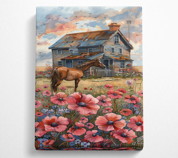 Pink Horse And Farmhouse