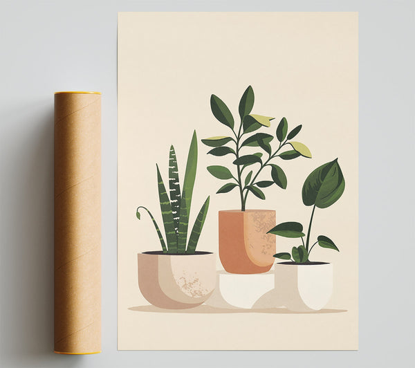 Peach Potted Plants