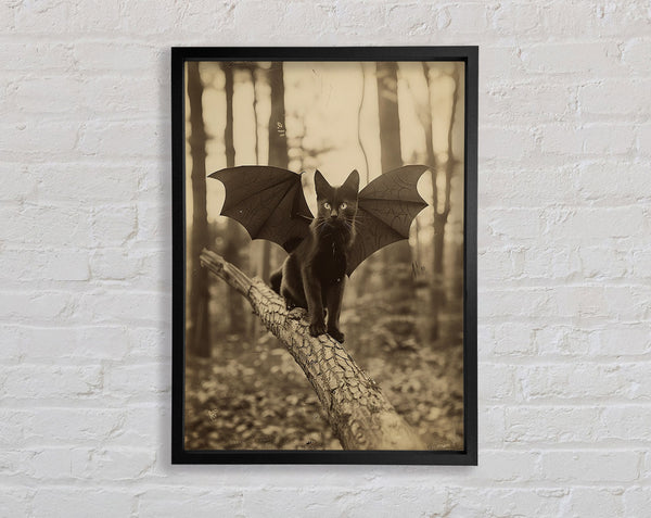 Bat Cat