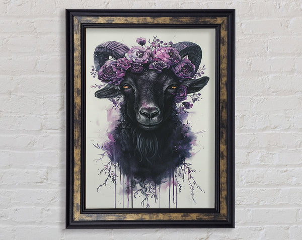 Beautiful Lilac Goat