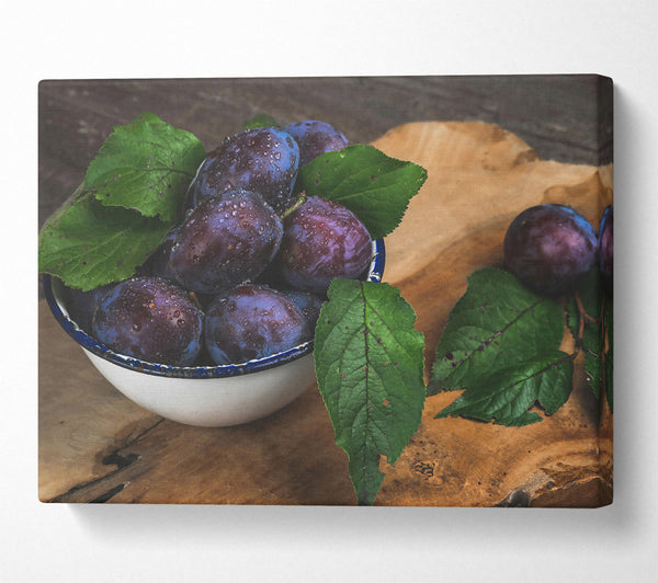 Purple Plums And Leaves