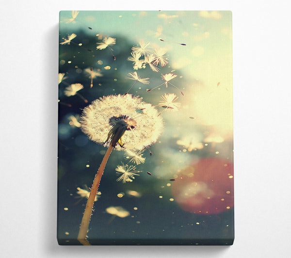 Teal Dandelion Wishes