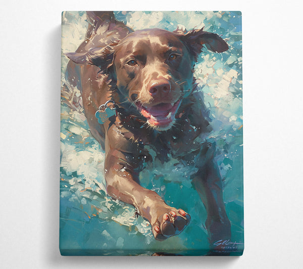 Brown Dog Splashing Blue