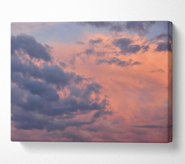 Pink Sunset Cloudscape