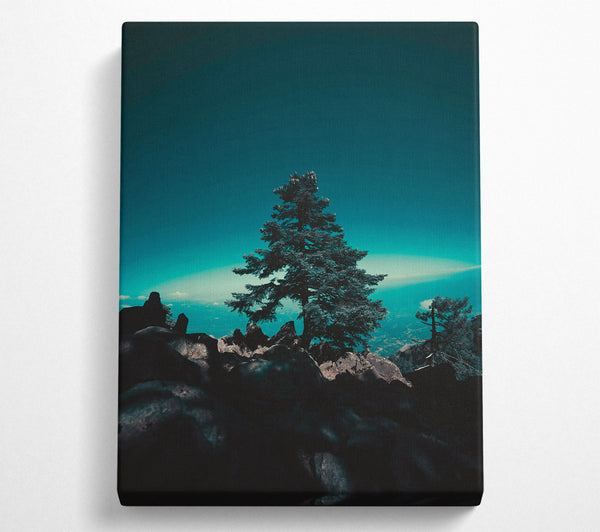 Teal Silhouette Treetop