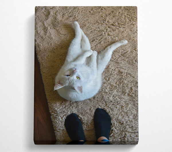 White Cat On Tan Rug