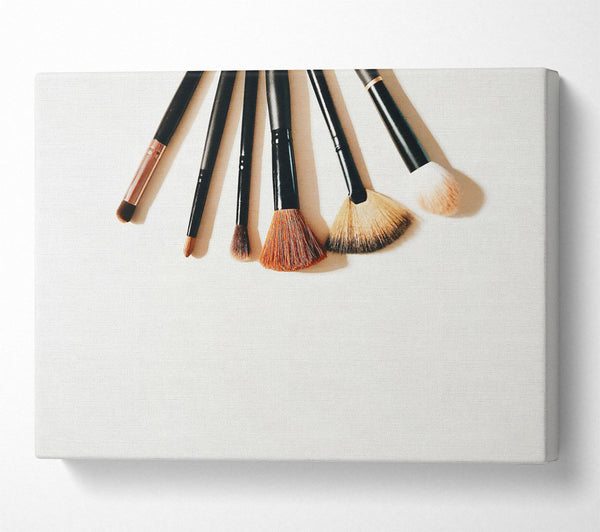 Black & Brown Brushes