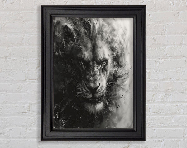 Black And White Lion Fierce