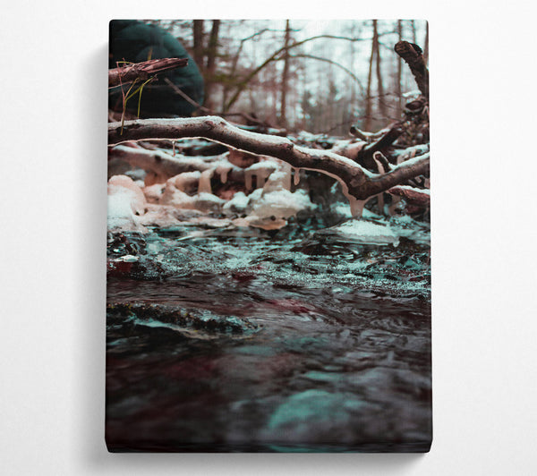 Teal Winter Stream