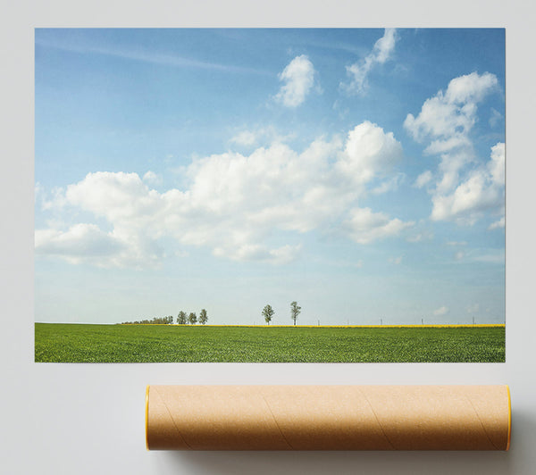 Green Field And Blue Sky