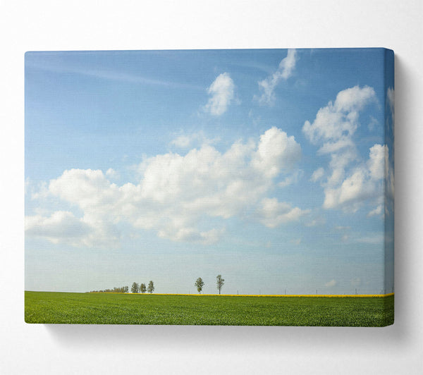 Green Field And Blue Sky