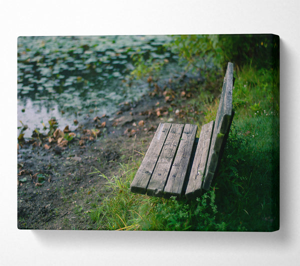 Green Bench By The Pond