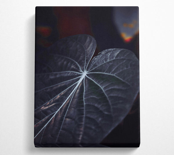 Dark Veined Leaf