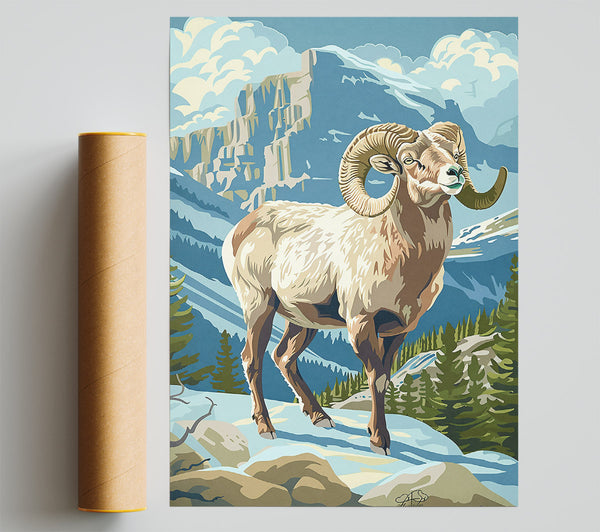 Blue Mountain Ram