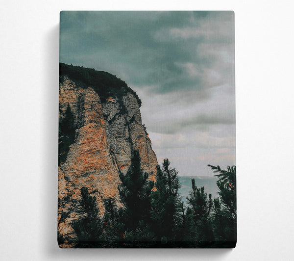 Gray Cliffside Pines