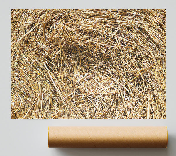 Golden Hay Bale Texture