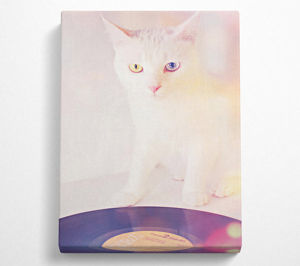 Pink Cat Vinyl