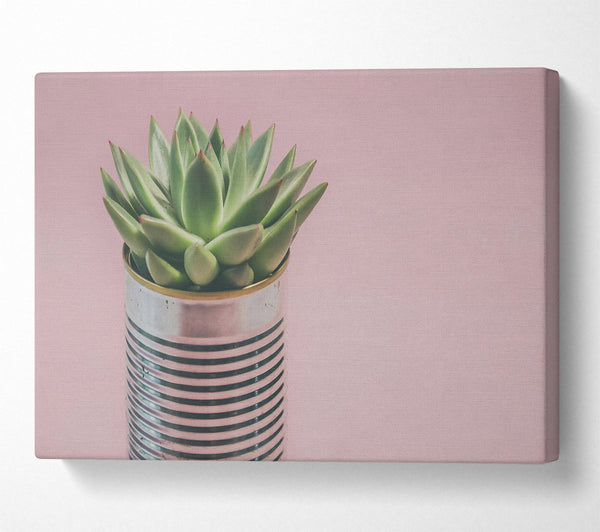 Pink Succulent Can