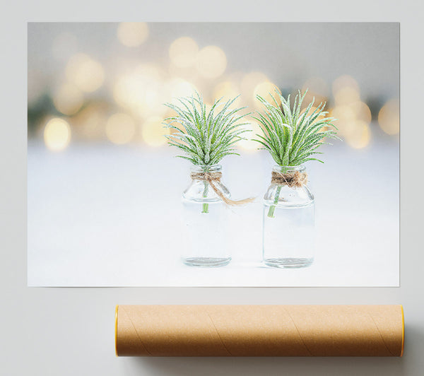 Green Light Vases