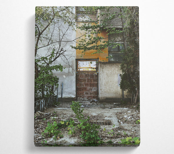 Overgrown Yellow Doorway