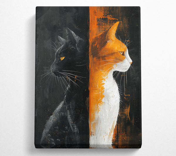 Orange And Black Feline Divide