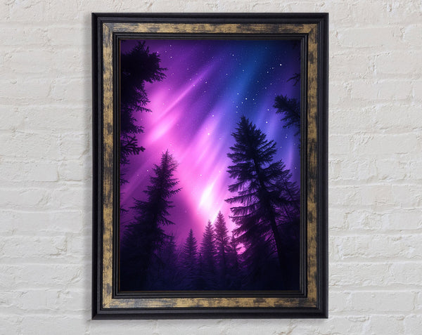 Blue And Purple Aurora