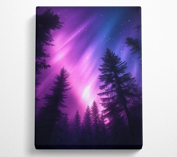 Blue And Purple Aurora