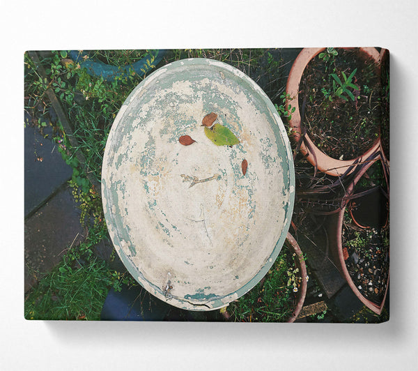 Green Weathered Dish