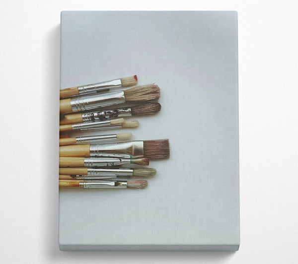 Brown Bristle Brushes