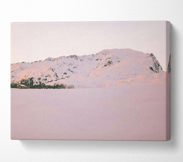 Pink Mountain Silence