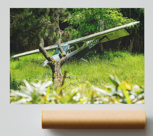 Green Plane In The Woods