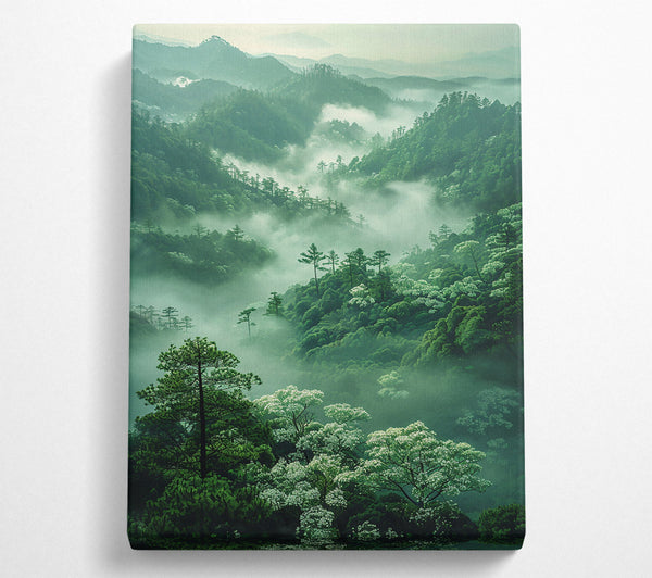 Emerald Mist Valley