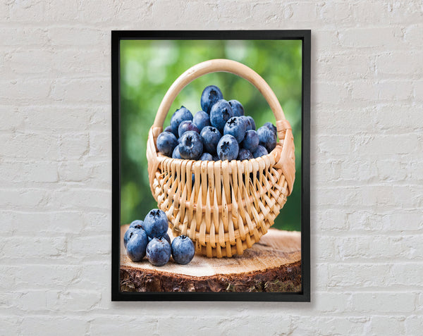 Blueberry Picking