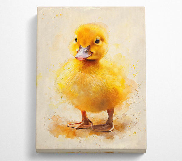 Golden Duckling Dreams