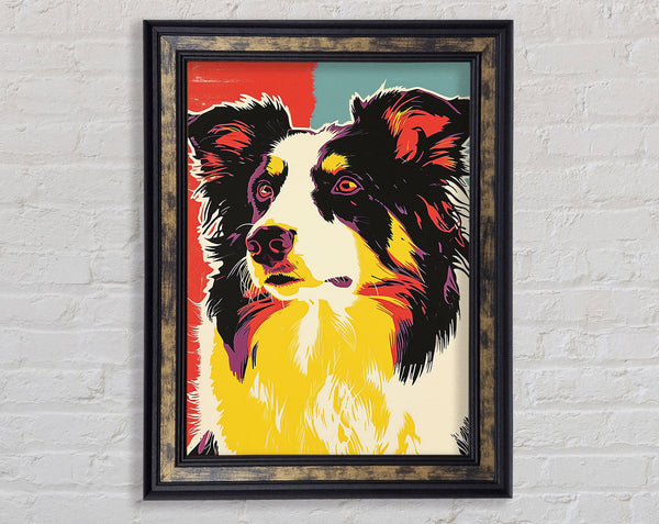 Border Collie Pop Art