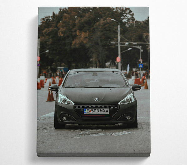 Black Peugeot In Focus