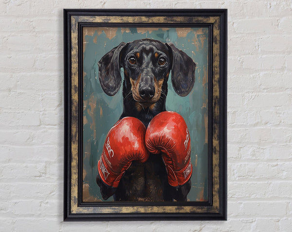 Boxing Dachshund