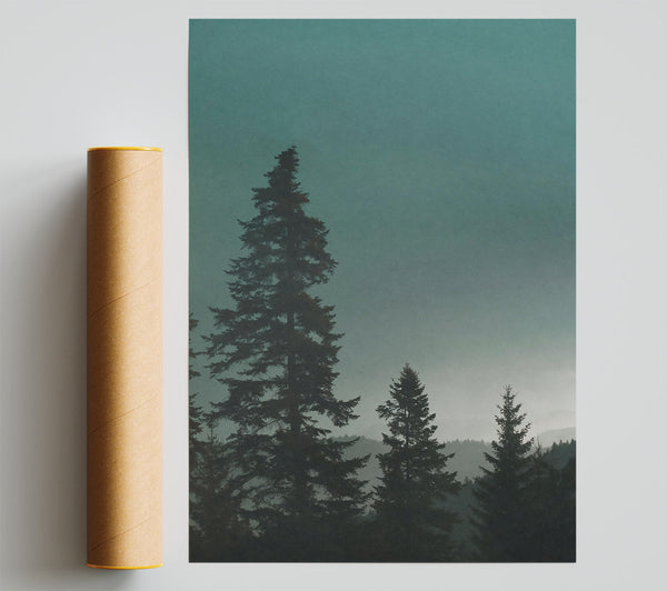 Teal Forest Silhouette