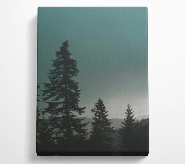 Teal Forest Silhouette