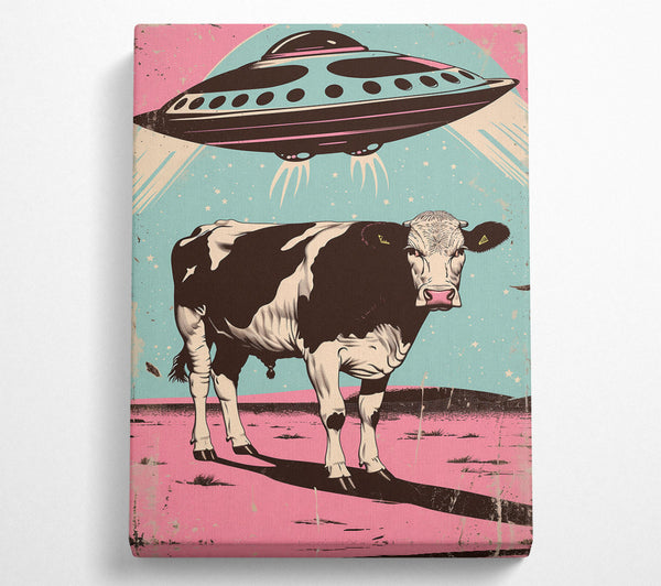 Pink Ufo Over Cow