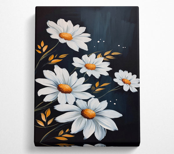 Midnight White Daisies