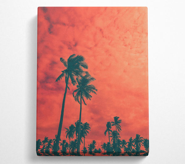 Coral Palm Dreams