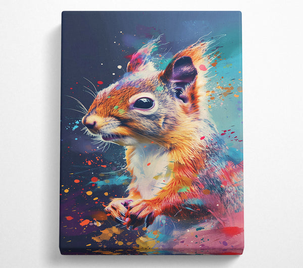 Orange Squirrel Splash