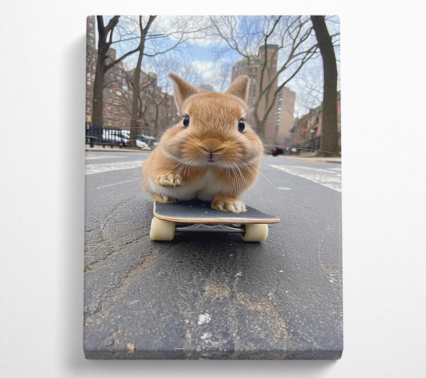 Bunny Skateboard