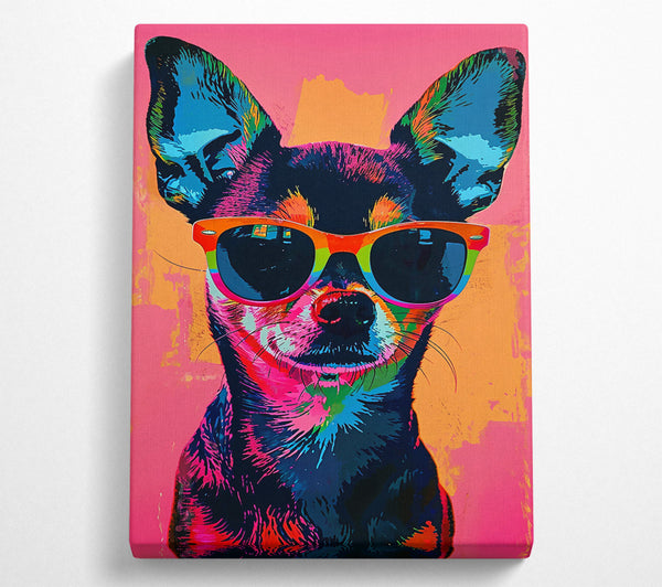 Pink Shades Pup