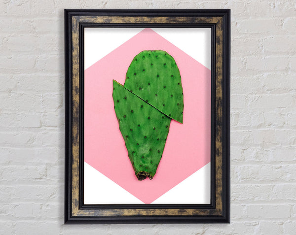 Cactus Cut