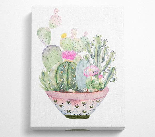 Cactus In Pink Pot