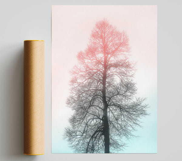 Pink Tree Silhouette